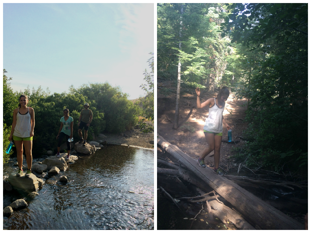 Science Lab Excursion Lab Excursions | Mathew Lab